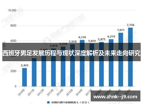 西班牙男足发展历程与现状深度解析及未来走向研究