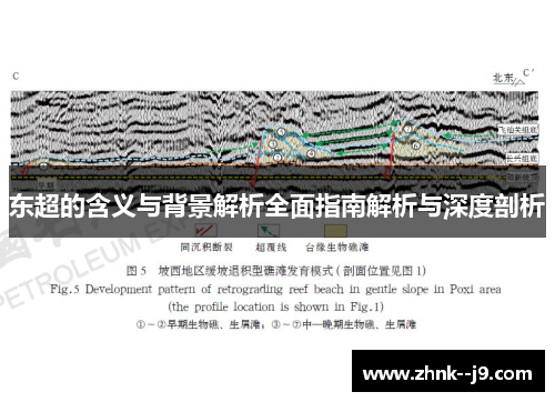 东超的含义与背景解析全面指南解析与深度剖析